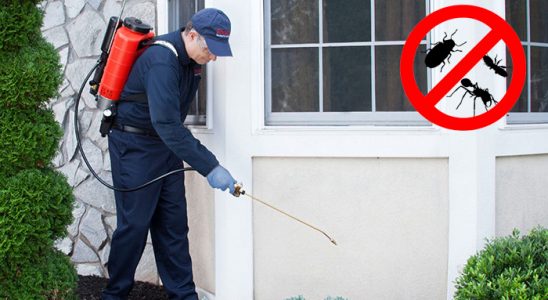 Karaisalı Uçan Haşere İlaçlama böcek ilaçlama ve haşere kontrolü — ilaclama-tr.com